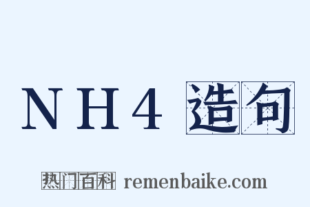NH4造句是什么意思的图片